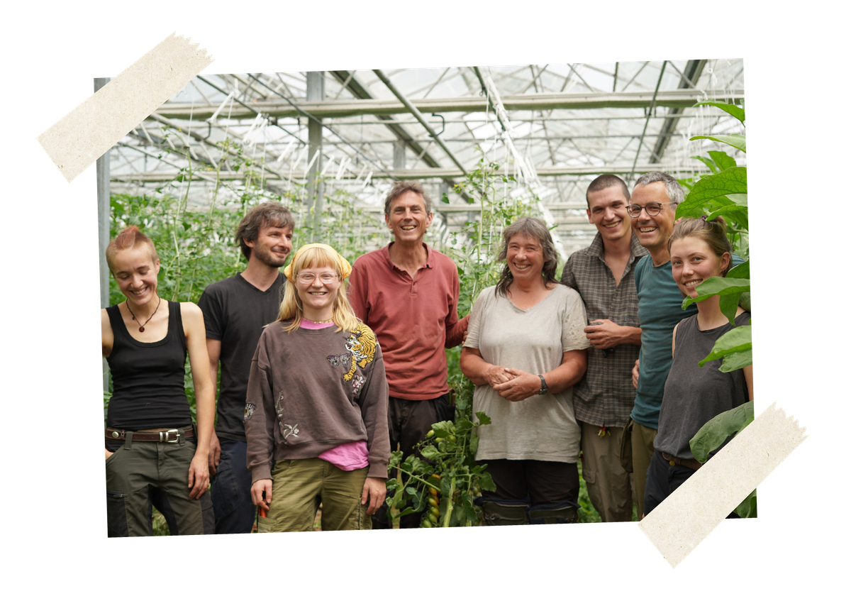 Das Piluweri-Gewächshausteam steht vor Tomatenstauden. Es besteht aus acht Mitarbeitenden. Alle lachen freundlich in die Kamera.