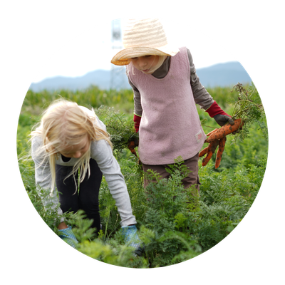 Zwei kleine Mädchen ernten unsere eigenen Karotten.