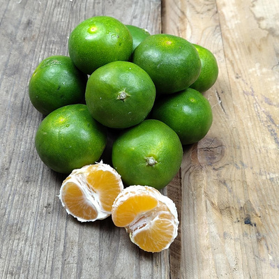 Produktfoto zu Grünliche Satsumas