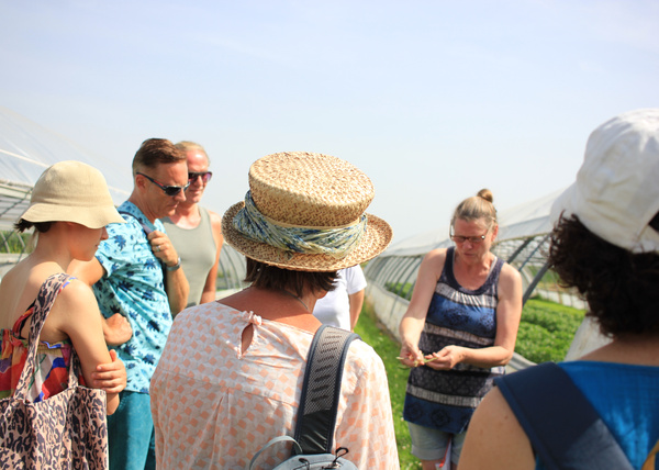 KI generiert: Eine Gruppe von Menschen besichtigt ein Gewächshaus.