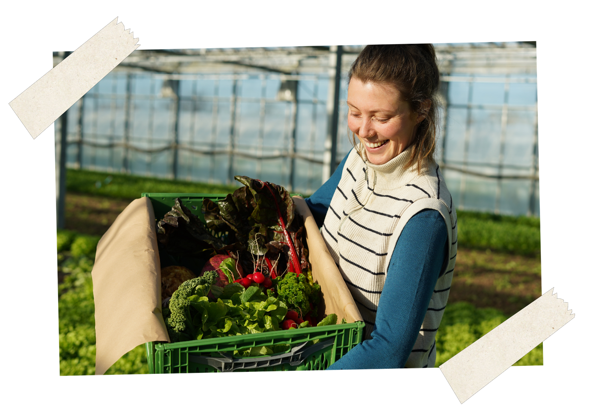 KI generiert: Eine Person hält eine Kiste mit frischem Gemüse in einem Gewächshaus.