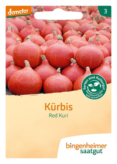 Produktfoto zu Hokkaido-Kürbis Red Kuri