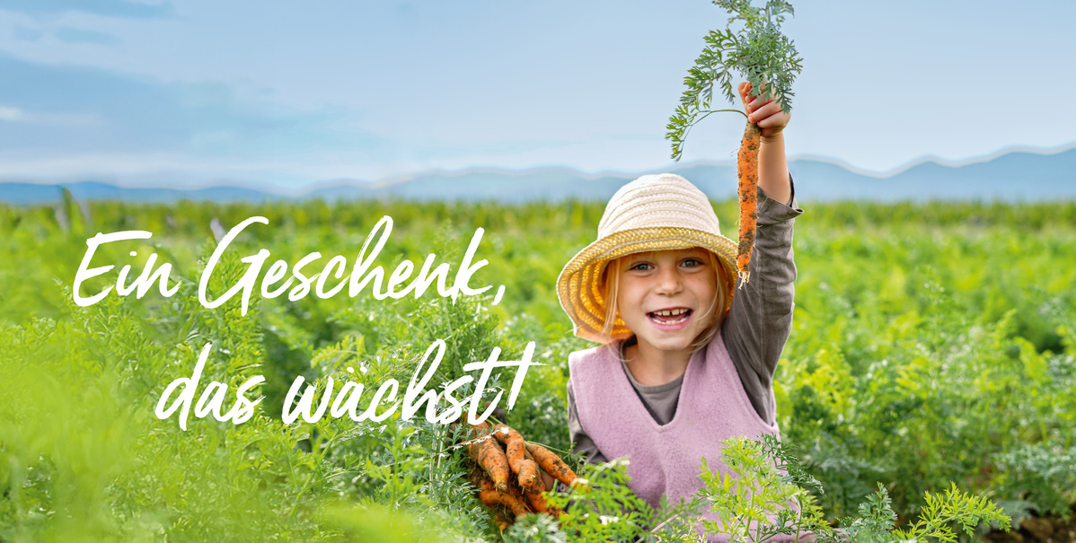 Ein kleines Mädchen mit Strohhut und rosa Wollkleid hält eine frisch aus der Erde gezogene Karotte in die Höhe. Eingefügter Text: Ein Geschenk, das wächst!