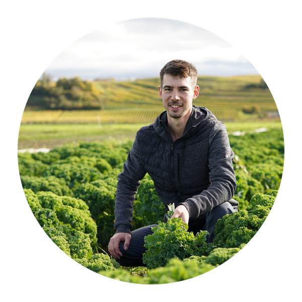 KI generiert: Ein Mann sitzt in einem Feld mit grünen Pflanzen und lächelt in die Kamera.