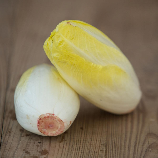 Produktfoto zu Chicoree