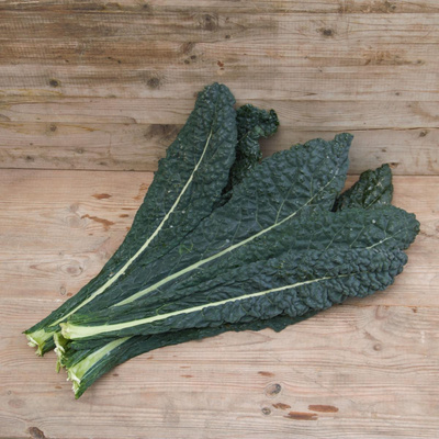 Produktfoto zu Palmkohl