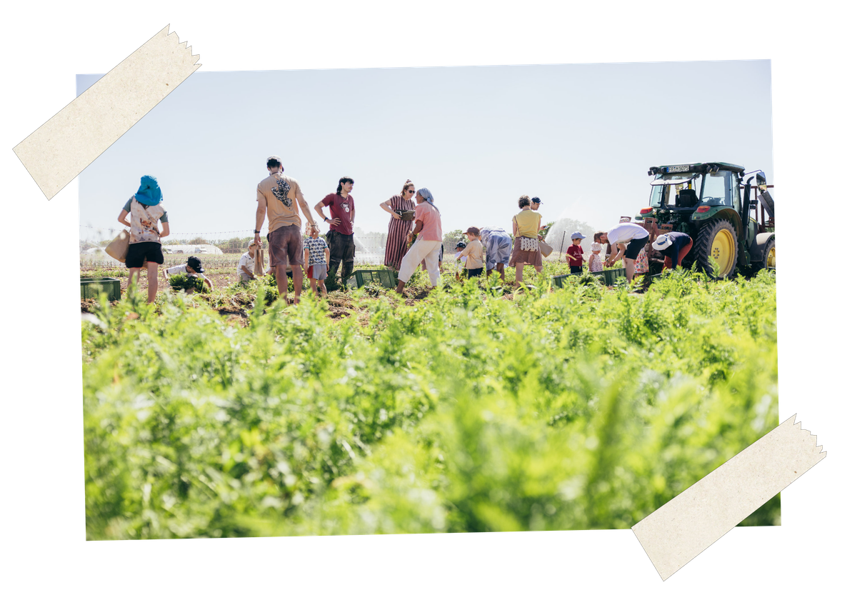 KI generiert: Eine Gruppe von Menschen arbeitet auf einem Feld neben einem Traktor.