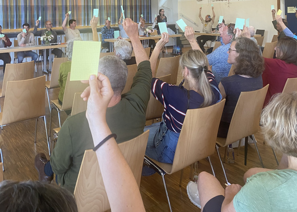 KI generiert: Menschen stimmen bei einer Versammlung mit grünen Karten ab.