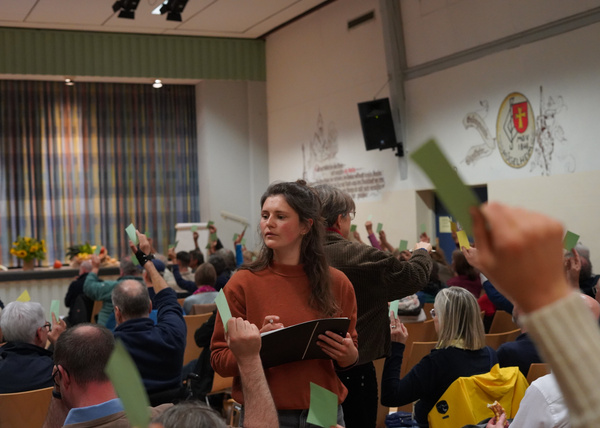 KI generiert: Eine Versammlung, bei der Personen grüne Karten hochhalten. Eine junge Frau zählt Stimmen.