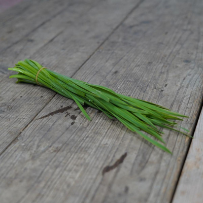 Produktfoto zu Schnittknoblauch