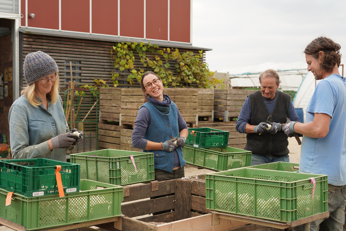 KI generiert: Gruppen von Menschen arbeiten mit grünen Kisten auf einem Hof im Freien.