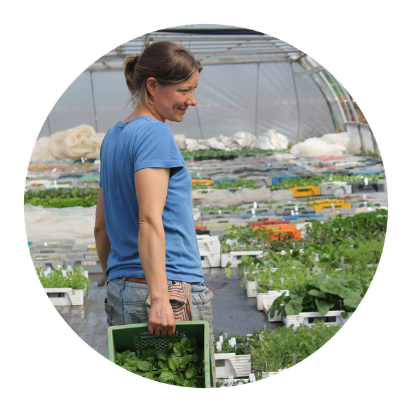 KI generiert: Eine Person im Gewächshaus, trägt eine grüne Kiste mit Pflanzen.