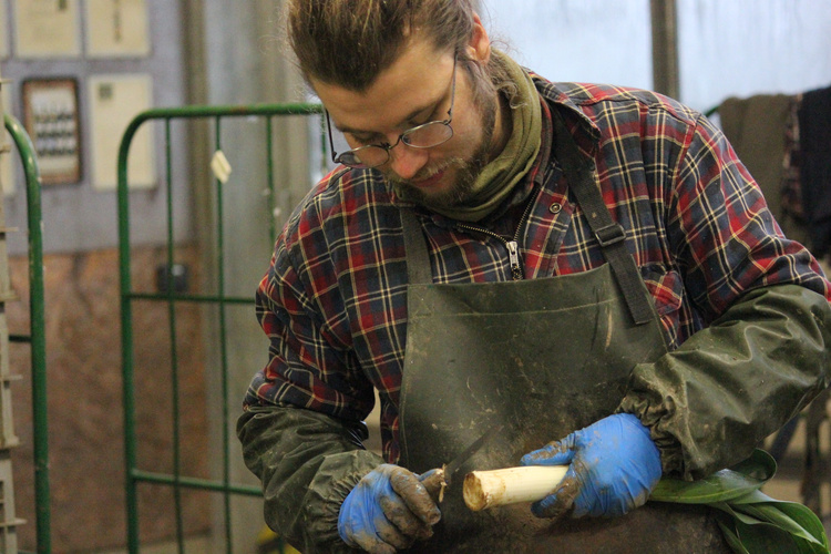 KI generiert: Person schält in einer Arbeitsumgebung ein Lauchgemüse.