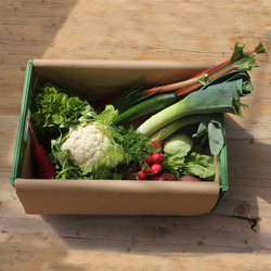 Produktfoto zu Piluwerikiste klein