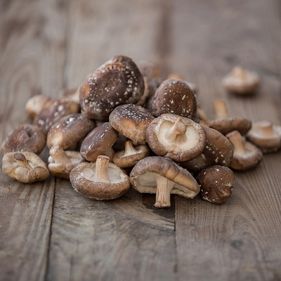 Produktfoto zu Shiitakepilze