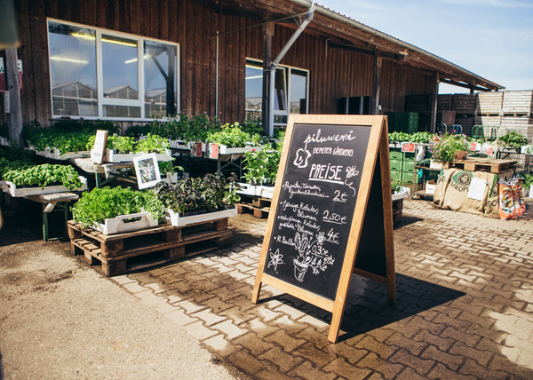 KI generiert: Schwarzes Schild vor Gärtnerei mit Pflanzen. Text: "Piluweri Demeter Gärtnerei Preise", Preise für Gemüse.