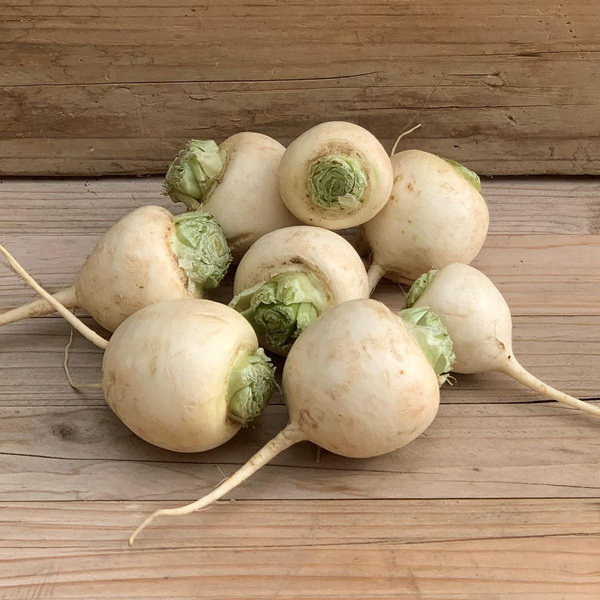 Produktfoto zu Herbstrüben "Polar"