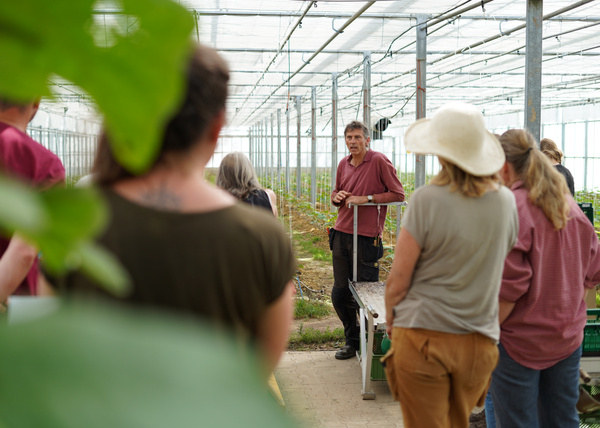 KI generiert: Menschen in einem Gewächshaus bei einer Führung oder Besprechung.