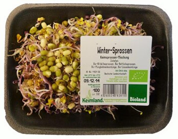 Produktfoto zu Wintersprossen-Mix