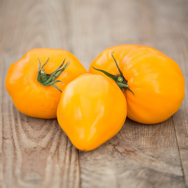 Produktfoto zu Gelbe Fleischtomaten "Ochsenherz"
