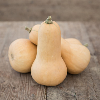 Produktfoto zu Kürbisse "Butternut"