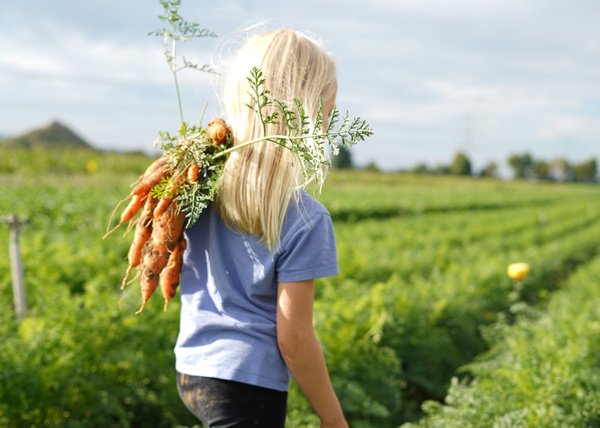 KI generiert: Ein Kind trägt Möhren über der Schulter auf einem Feld.