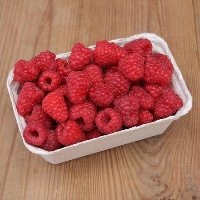 Produktfoto zu Himbeeren