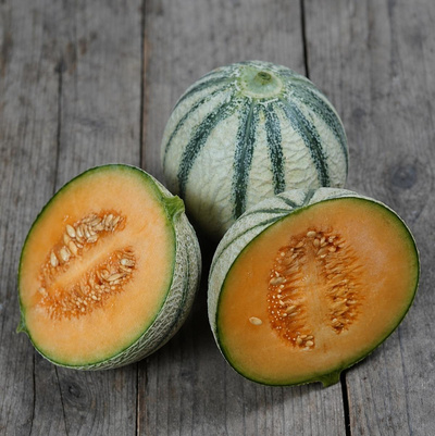 Produktfoto zu Piluweri Zuckermelone "Charentais"