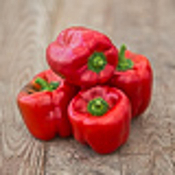 Produktfoto zu Roter Paprika