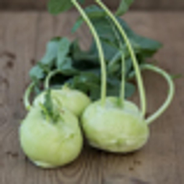 Produktfoto zu Kohlrabi