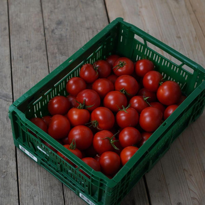 Produktfoto zu Tomaten "Tica" zum Verarbeiten - 5 kg-Kiste