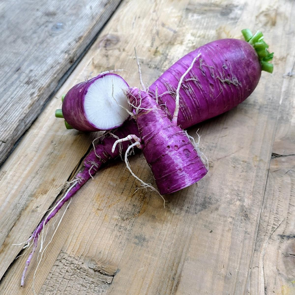 Produktfoto zu Unperfekter Rettich "Blauer Herbst&Winter"