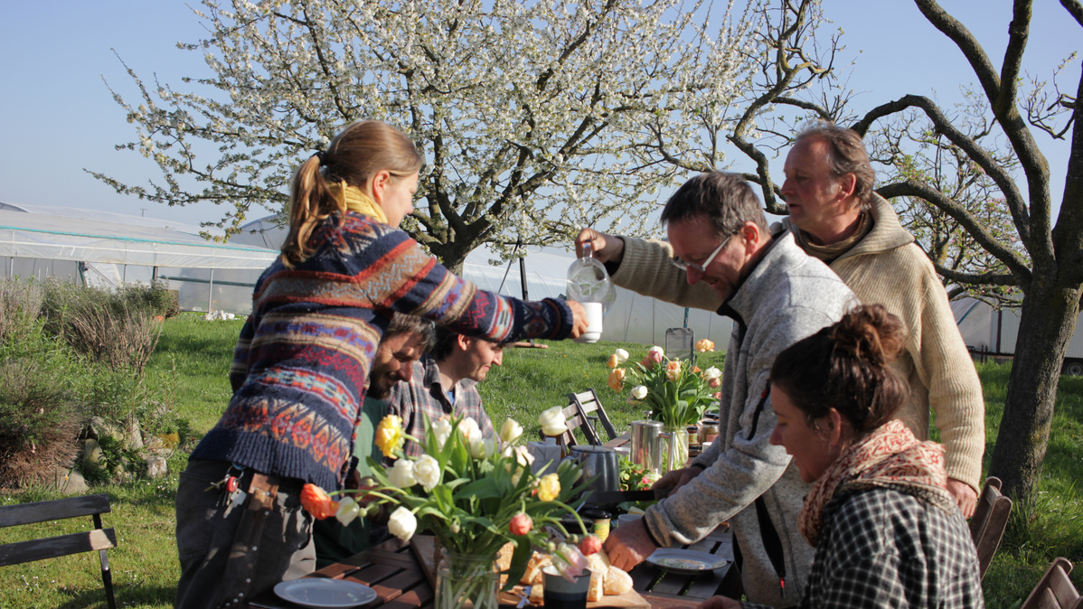 KI generiert: Gruppe beim Picknick im Freien, unter blühenden Bäumen, mit frischen Blumen auf dem Tisch.