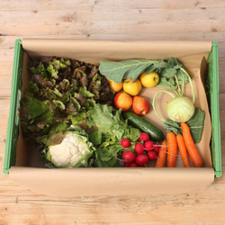 Produktfoto zu Mix-Kiste klein