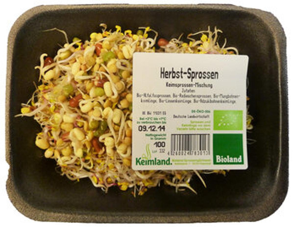 Produktfoto zu Herbstsprossen-Mix