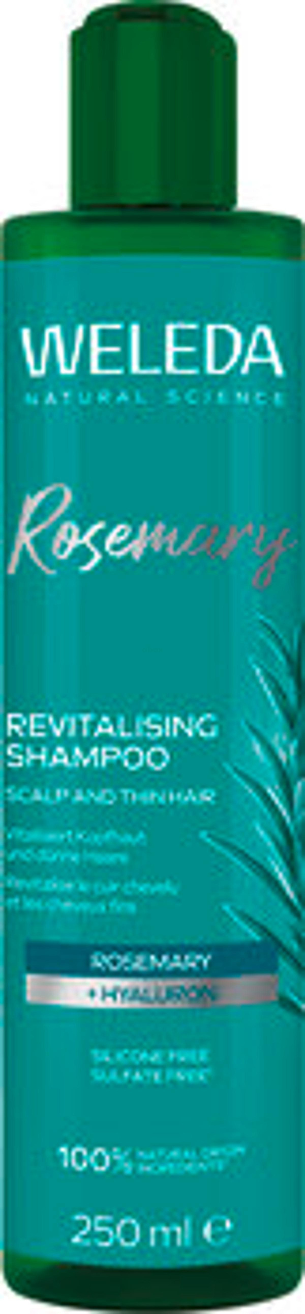 Produktfoto zu Rosmarin Shampoo