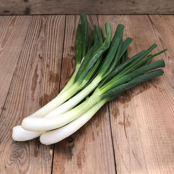 Produktfoto zu Bundzwiebeln