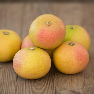 Produktfoto zu Rote Grapefruit