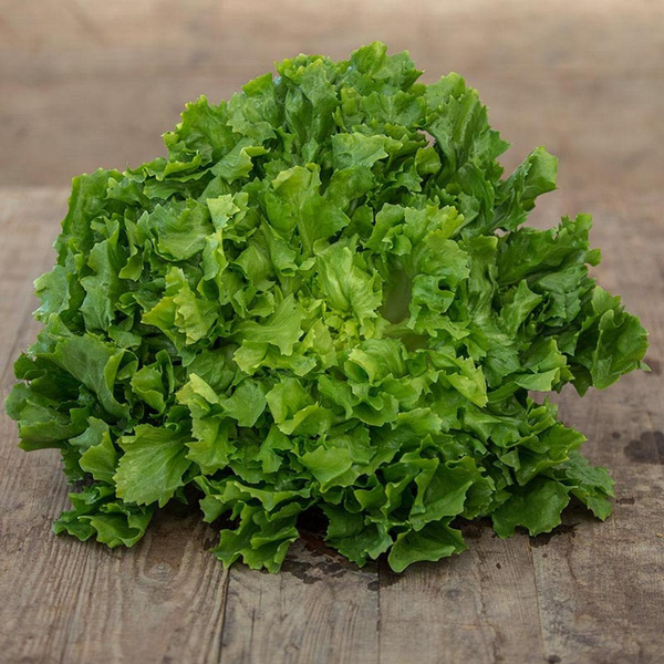 Produktfoto zu Endiviensalat