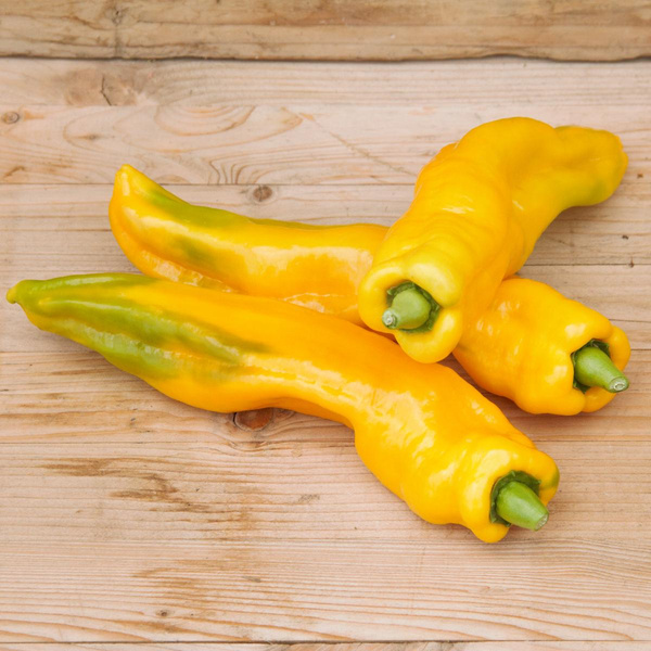 Produktfoto zu Gelbe Spitzpaprika "Zazu"
