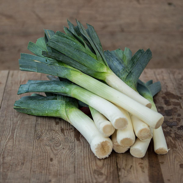 Produktfoto zu Lauch