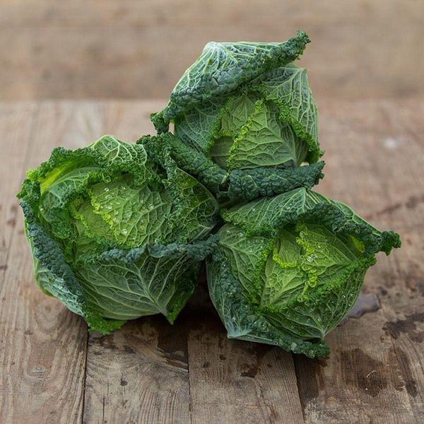 Produktfoto zu Wirsing - Aktionspreis