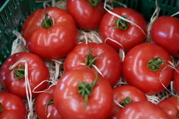 KI generiert: Frische rote Tomaten liegen in einer Kiste auf Stroh.