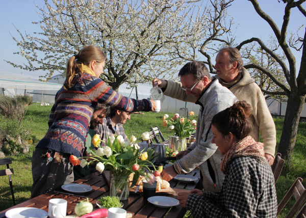 KI generiert: Menschen essen an einem Tisch im Freien, umgeben von blühenden Bäumen.