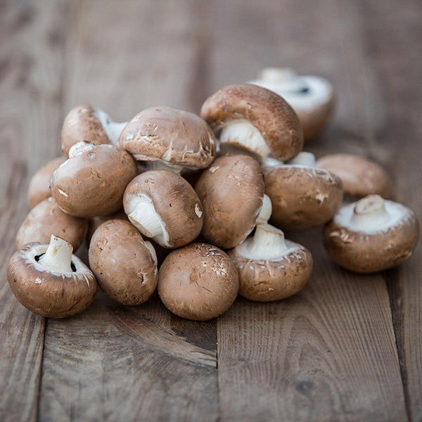 Produktfoto zu Steinchampignon