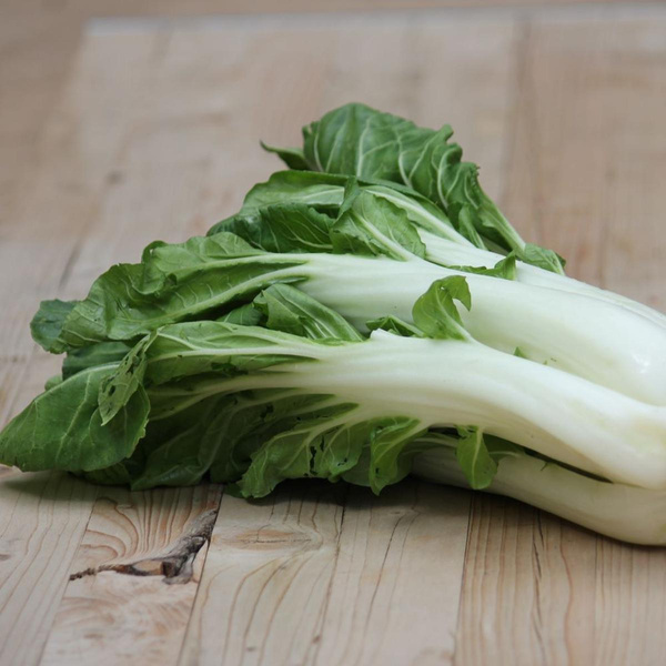 Produktfoto zu Pak Choi