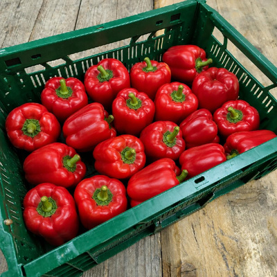 Produktfoto zu Rote Paprika - 2,5 kg-Kiste