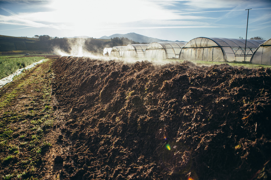 KI generiert: Erde dampft in der Sonne neben Gewächshäusern auf dem Feld.