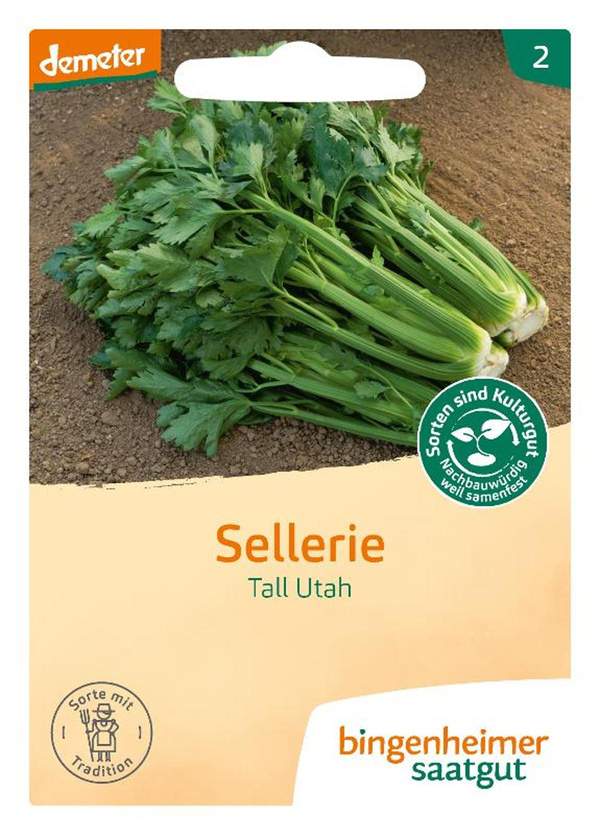Produktfoto zu Saatgut Stangensellerie