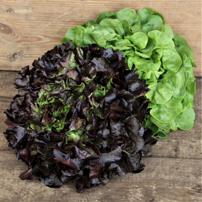 Produktfoto zu Kleinere Salate zum günstigen Preis